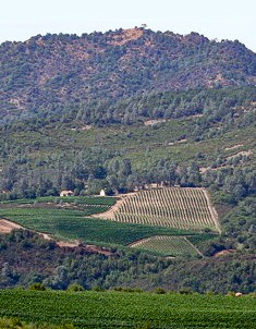 Metaphora Wines Vinyards Atlas Peak